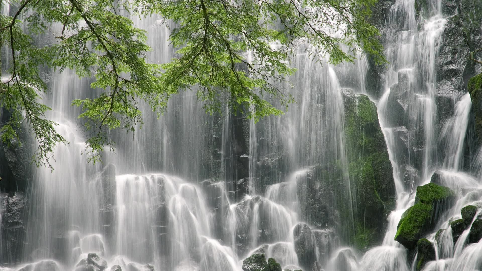 世界排球联赛:防守轮转与快攻衔接成为现代球队底色,世界排球联赛2021规则